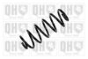 QUINTON HAZELL QCS6200 Coil Spring